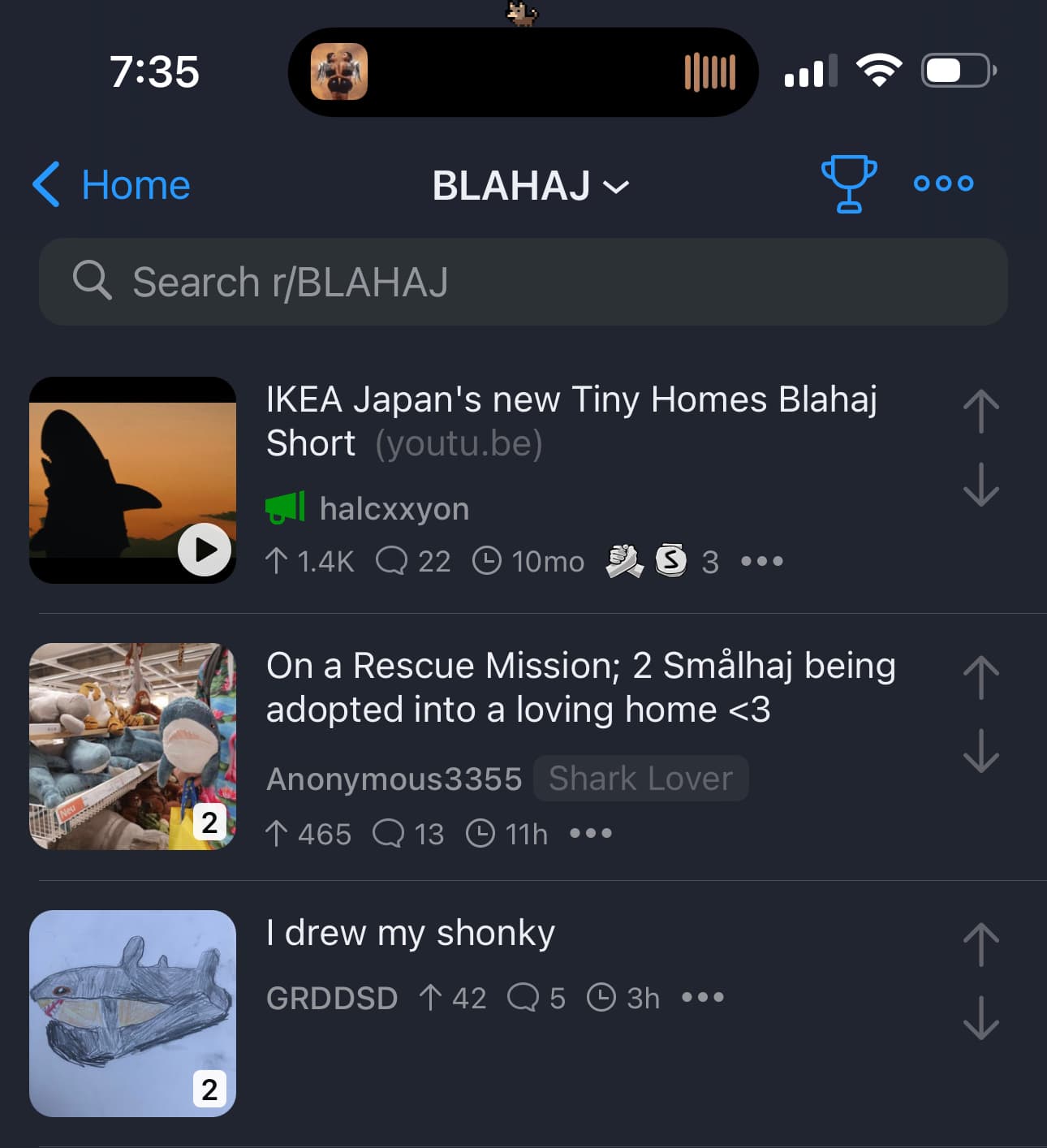 A screenshot of the Apollo Reddit client displaying the BLAHAJ subreddit. A small brown dog is displayed above the island in the limited space available.