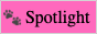 spotlight.gif 88x31 button